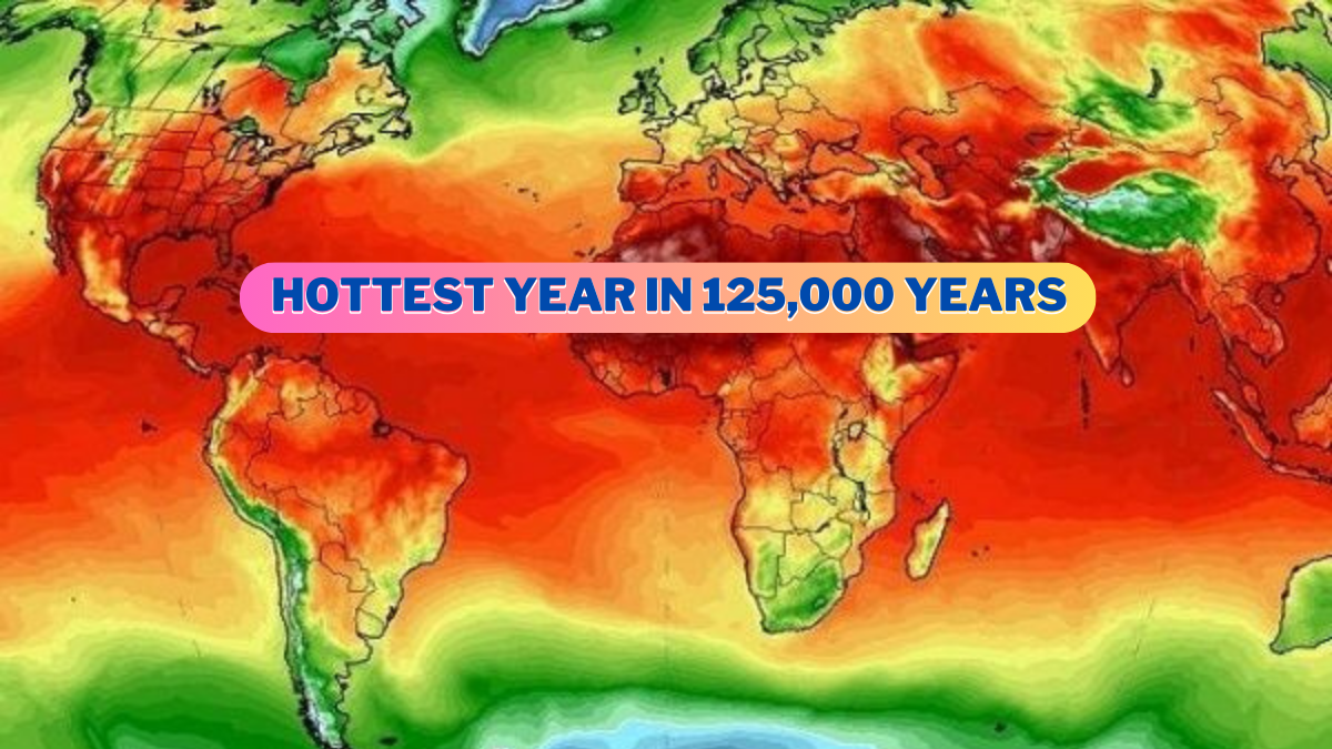 Hottest Year in 125,000 Years Warns EU Scientists
