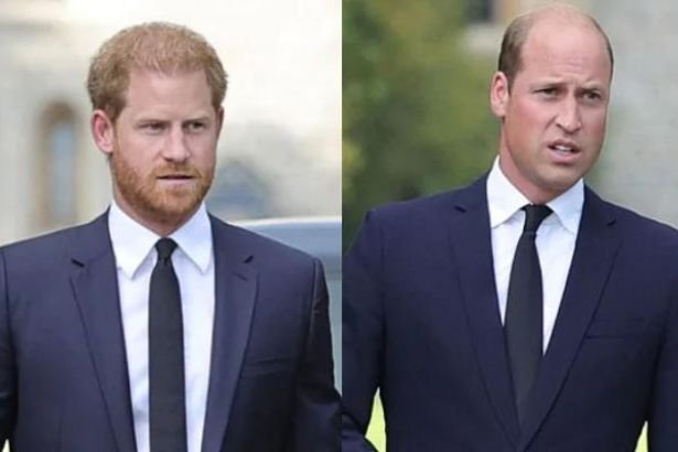 Prince Harry Seeks Royal Reconciliation, But William Stands Firm