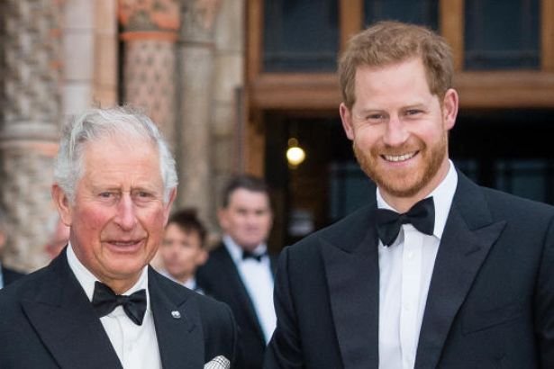 Prince Harry Retains Key Role in Line of Succession If Needed