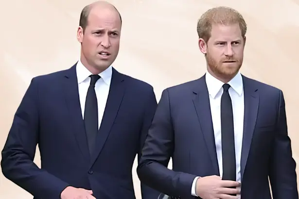 Prince Harry Heartbreaking Refusal: Why He Didn't Meet Prince William